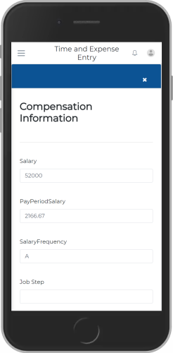 Compensation Information