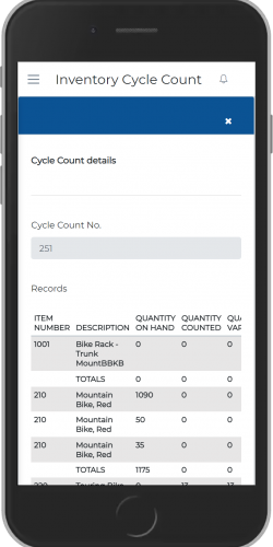 Cycle Count Details