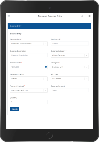 Expense Entry T
