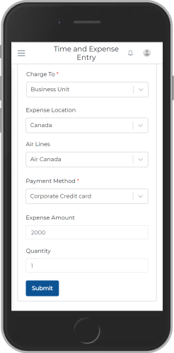 Expense Entry1