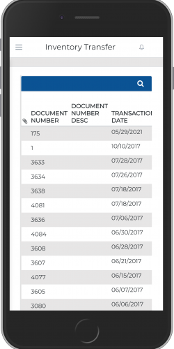 Item Ledger