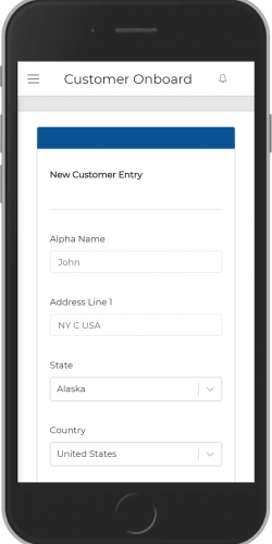 New Customer Entry