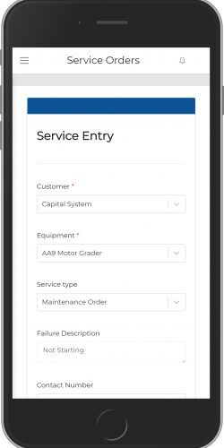 Service Entry