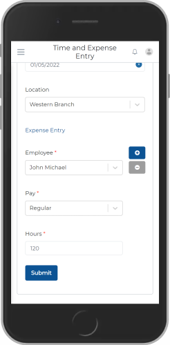 Time Entry1
